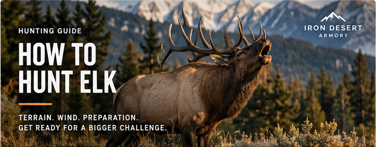 How to hunt elk beginner guide - terrain, wind and field preparation