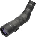 Leupold SX2 HD Spotting Scope with ARCA-Swiss Compatible Head in Shadow Gray