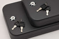 Snapsafe Keyed Alike XL Pistol Safe 2-Pack with Fireproof Steel Construction and Airline Approval