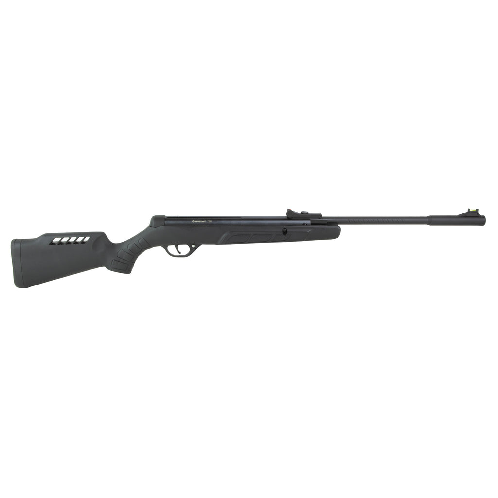 Crosman Tyro .177 Break Barrel Air Rifle with Adjustable Stock and Fiber-Optic Sights
