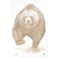 Action Target Alaska State Parks Bear Target (Model ASP-BB-100, 100 Pack)