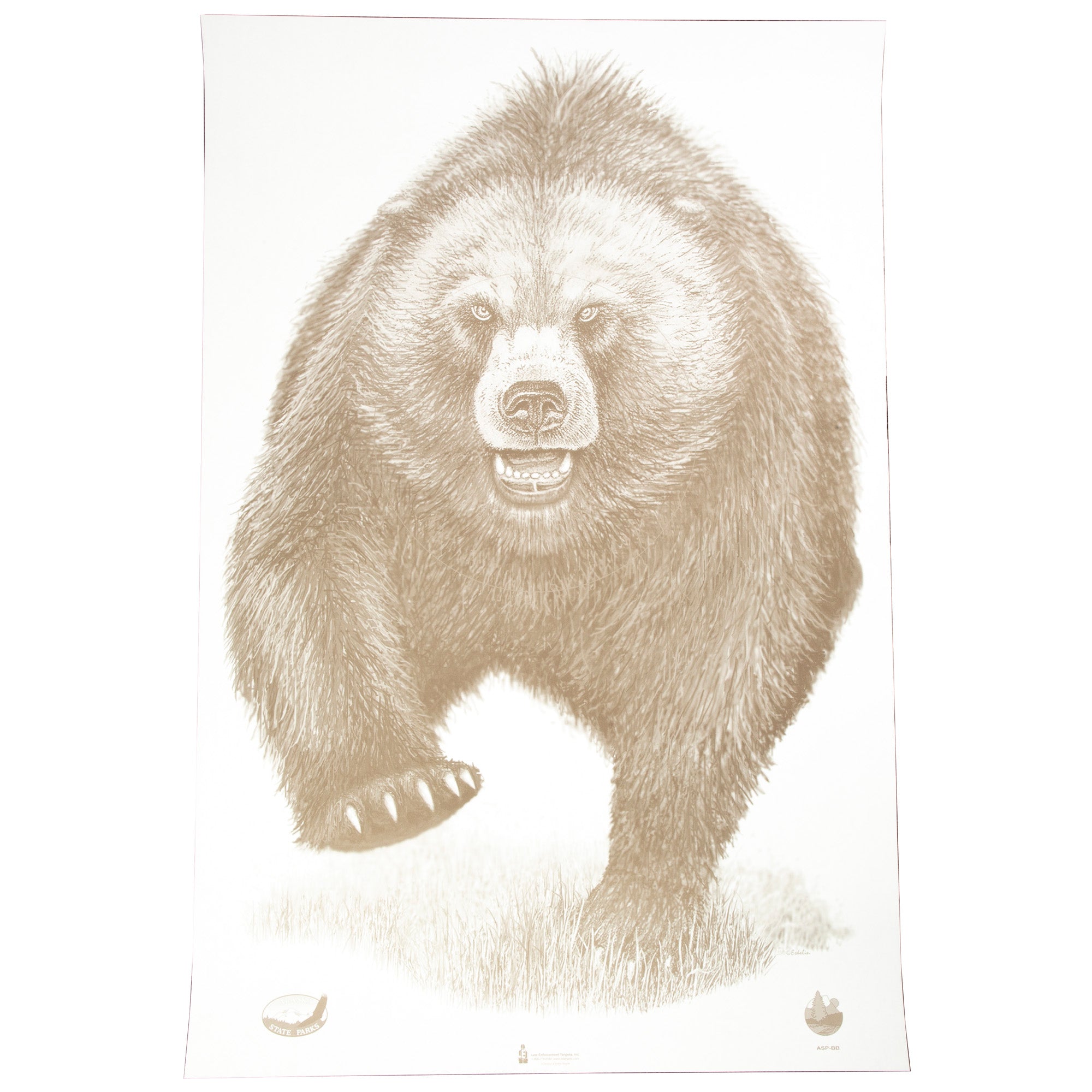 Action Target Alaska State Parks Bear Target (Model ASP-BB-100, 100 Pack)