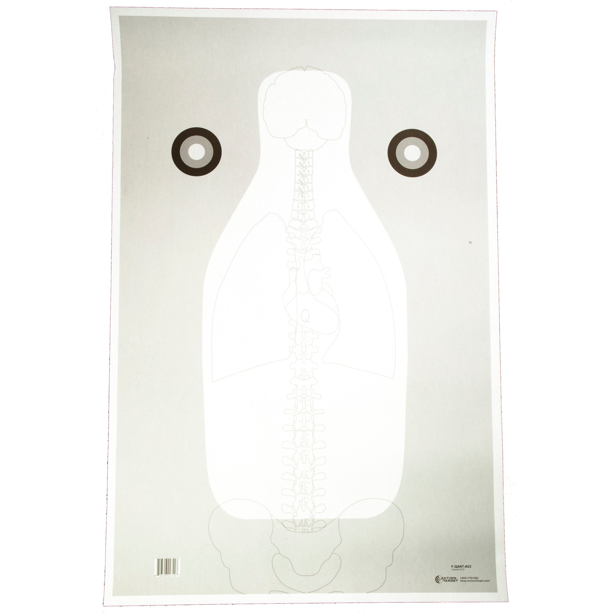 Action Target FBI Q Target with Vital Anatomy – 100 Pack for Shooting Ranges and Training
