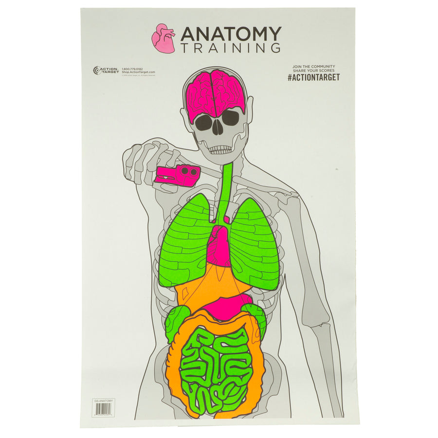 Action Target Anatomy Training Target (Part Number GS-ANATOMY-100)