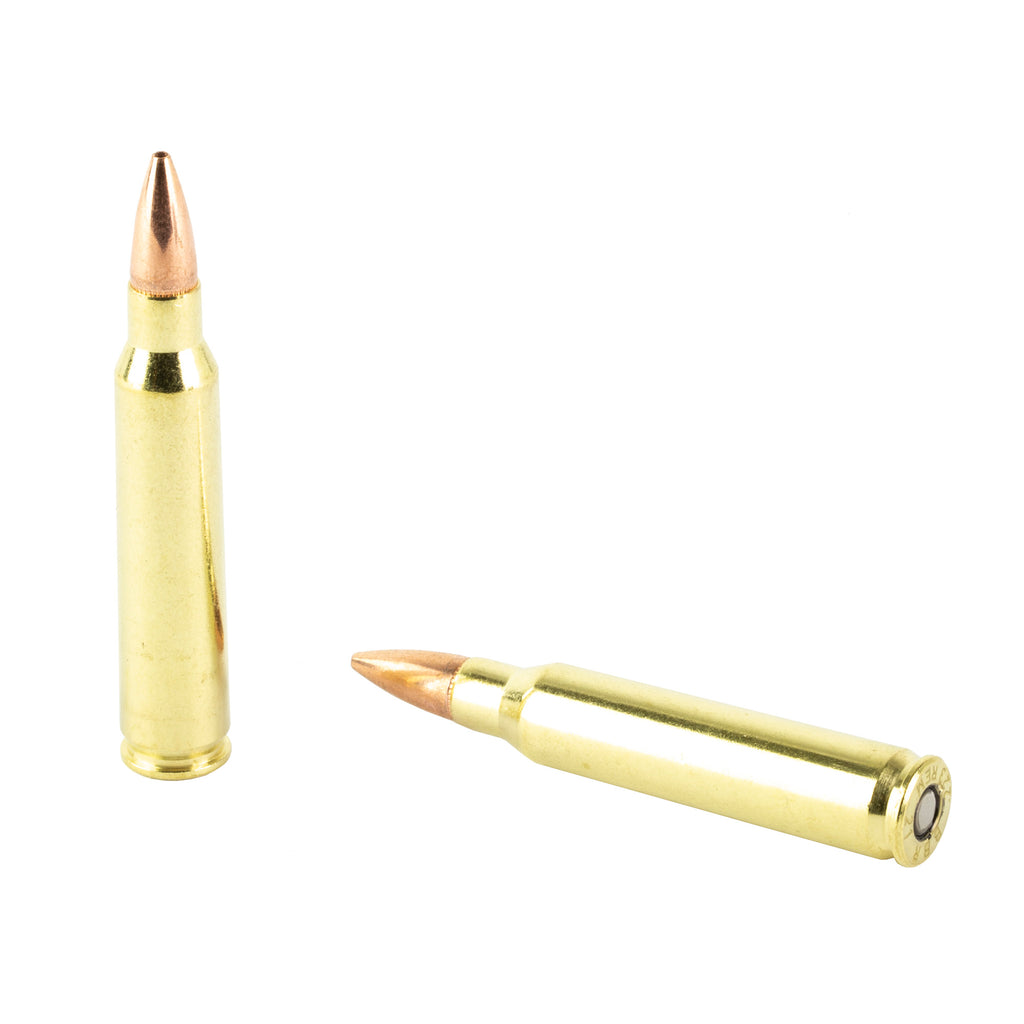 Barnes Ammunition 223 Remington 55-Grain Hollow Point, 20 Rounds Per Box