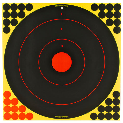 Birchwood Casey Shoot-N-C Bullseye Targets - 17.25 Inches, Pack of 5