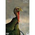 Birchwood Casey Pregame Turkey Targets - 12 x 18 inches, Pack of 8