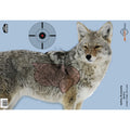 Birchwood Casey Pregame Coyote Targets - 16.5 x 24 inches, Pack of 3