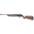 Crosman 760 Pumpmaster Air Rifle - .177 BB, 18-Round Capacity, Adjustable Sights