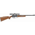 Daisy Powerline 880 Multi-Pump Air Rifle with Scope – .177 Caliber, 800 FPS