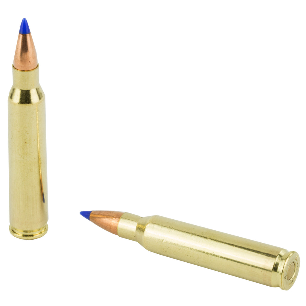 Fiocchi Ammunition 223 Remington V-Max 40-Grain Rifle Rounds (50/Box, 1000/Case)