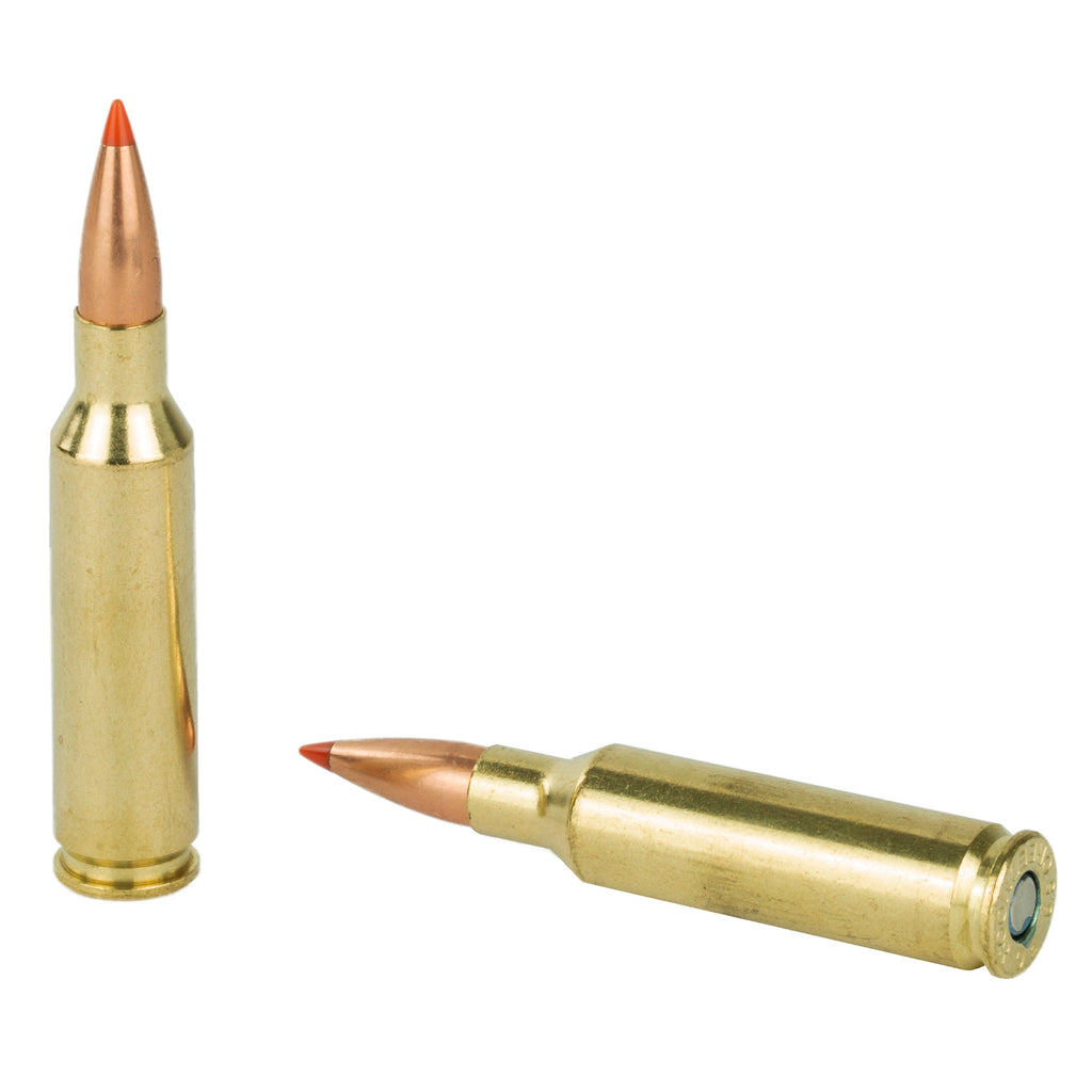 Federal Varmint & Predator 6.5 Creedmoor 95-Grain V-Max Ammunition, 20 Rounds