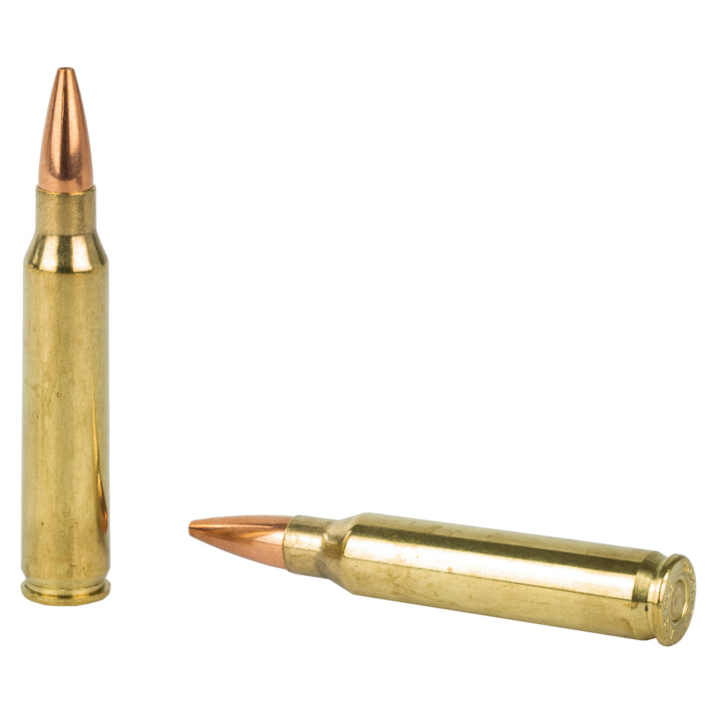 Hornady Black .223 Remington 75-Grain Boat Tail Hollow Point Ammunition (20 Rounds per Box)