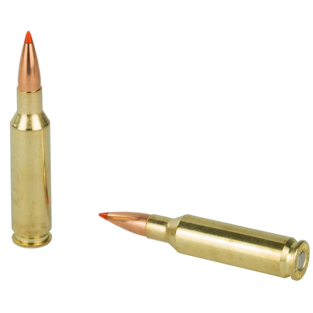 Hornady Varmint Express 6.5 Creedmoor 95 Grain V-Max Bullets (20 per Box, 200 per Case)