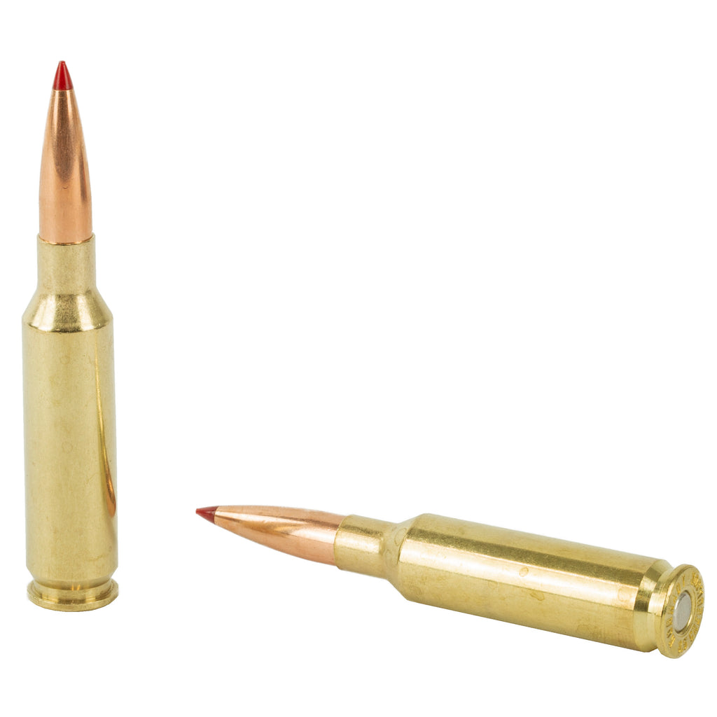 Hornady Precision Hunter 6.5 Creedmoor 143-Grain ELD-X Ammunition (20 Rounds Per Box)