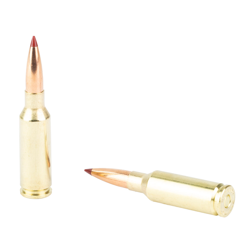 Hornady Custom 6MM ARC 90-Grain CX Rifle Ammunition (20 Rounds)