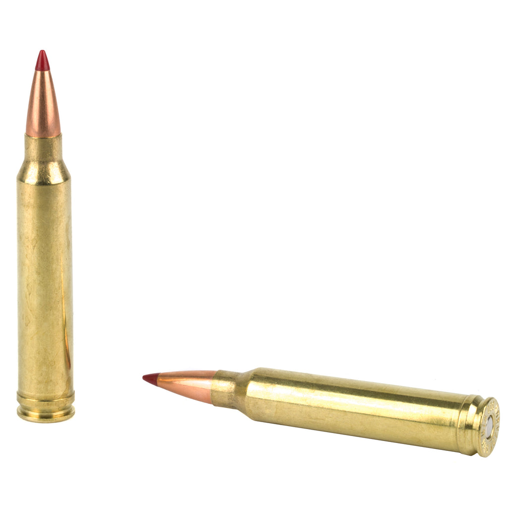 Hornady Precision Hunter 300 Winchester Magnum 200 Grain ELD-X Ammunition (20 Rounds per Box)
