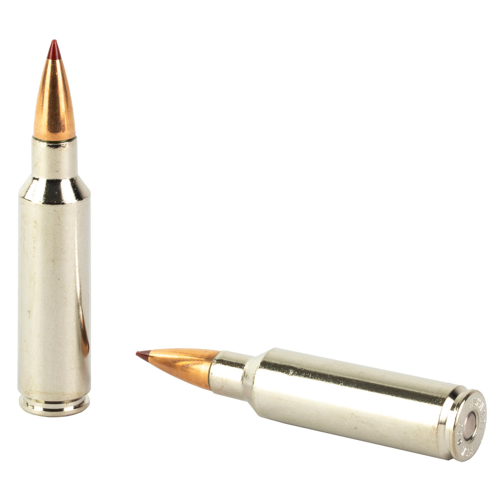 Hornady Outfitter 300 Winchester Short Magnum 180 Grain CX Ammunition, 20 Rounds per Box
