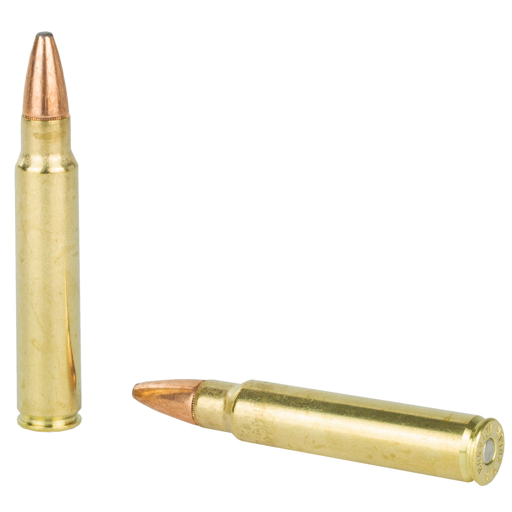 Hornady Dangerous Game Series 375 Ruger Soft Point Ammunition, 270 Grain - 20 Rounds per Box
