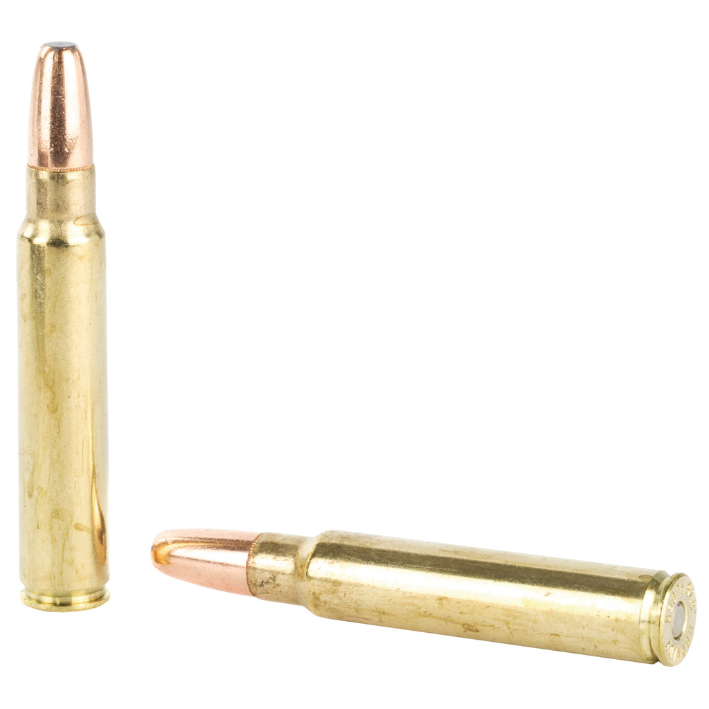 Hornady Dangerous Game Series 375 Ruger 300-Grain DGX Bonded Ammunition (20 Rounds per Box)