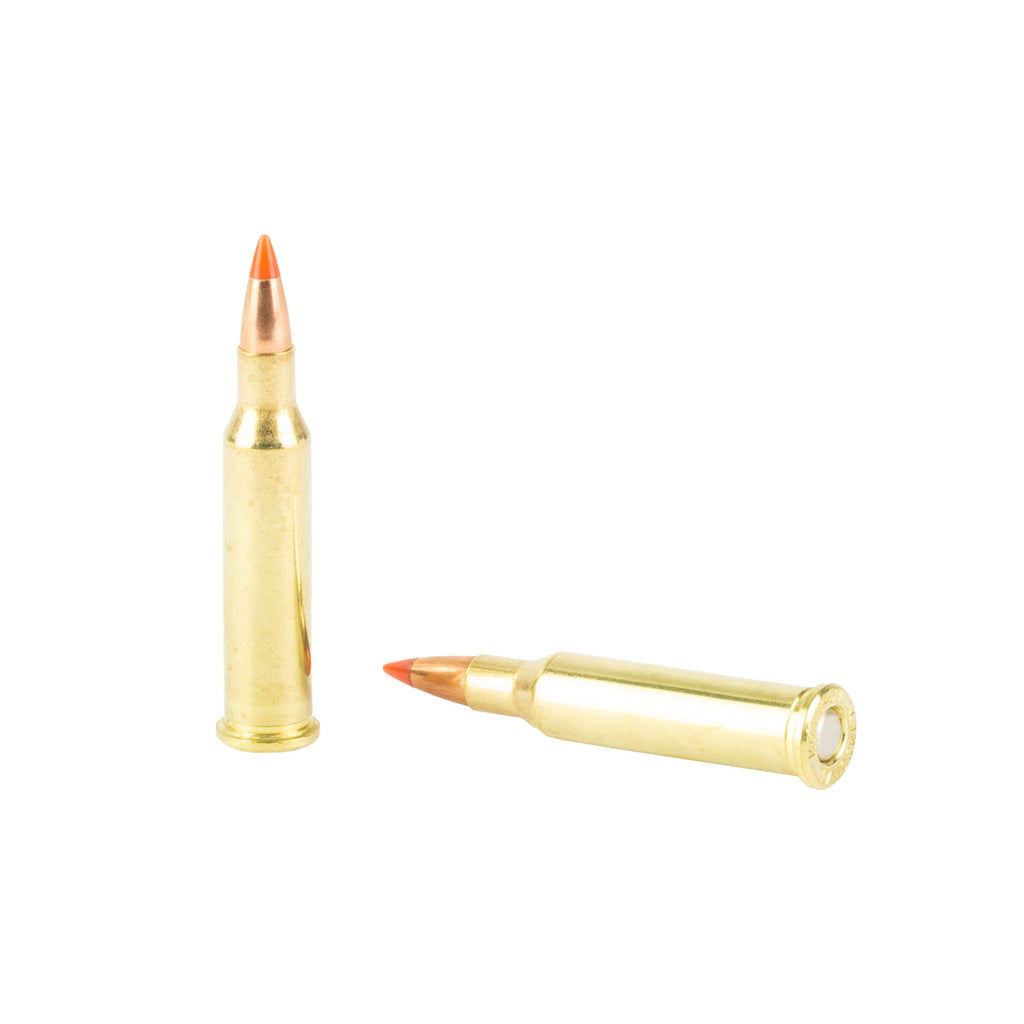 Hornady Superformance Varmint 17 Hornet 20 Grain V-Max Ammunition (25 Rounds per Box)