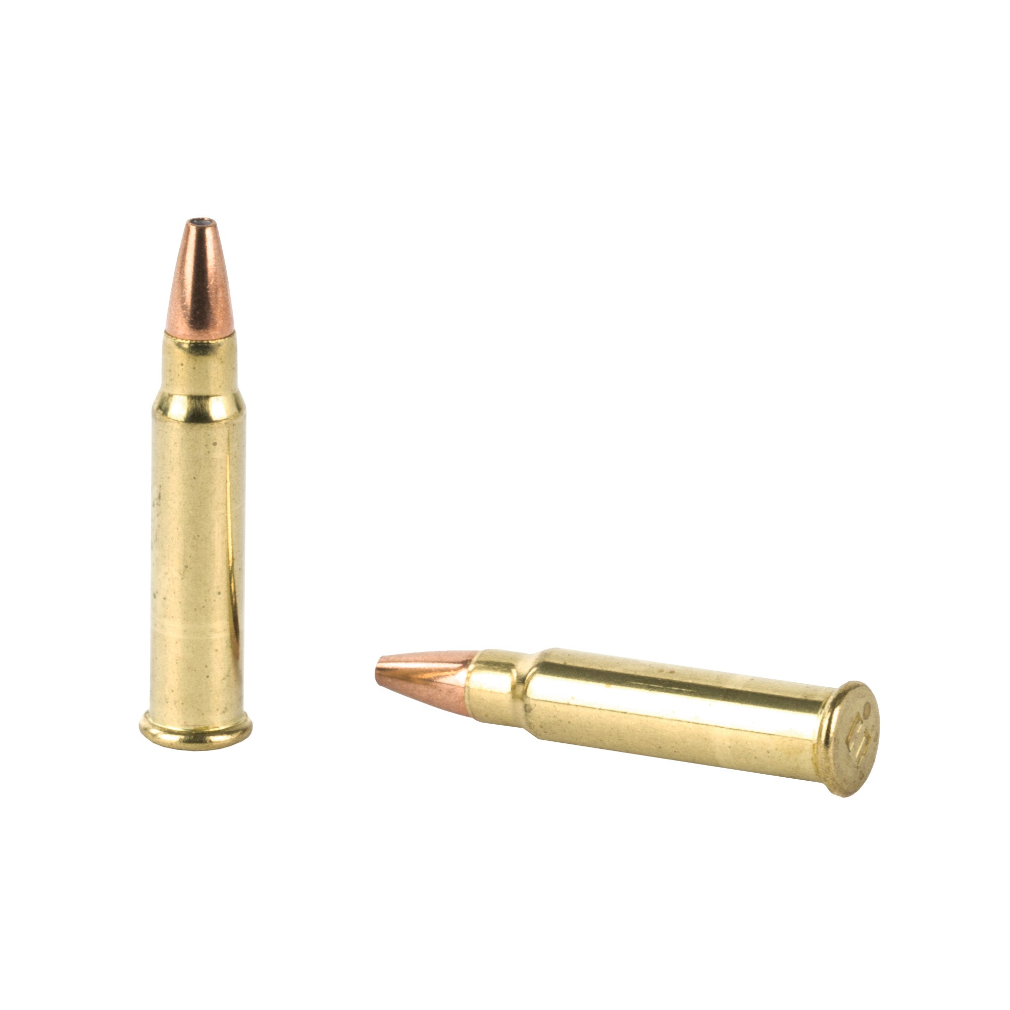 Hornady Varmint Express 17 HMR 20-Grain XTP Ammunition (50 rounds per box)