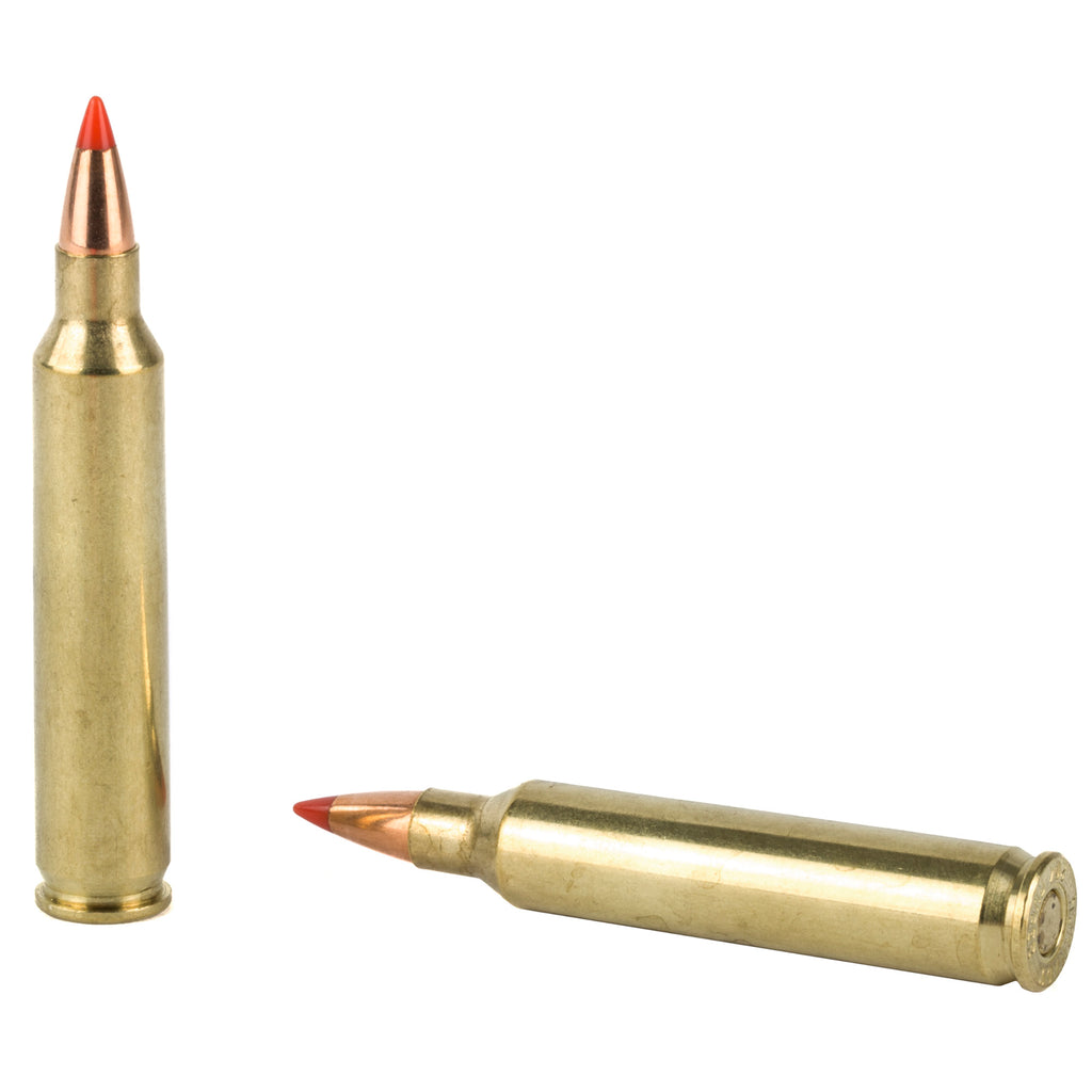 Hornady Superformance Varmint .204 Ruger 40-Grain V-Max Ammunition - 20 Rounds per Box