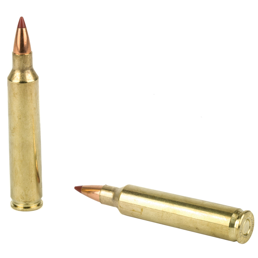 Hornady Superformance Varmint .204 Ruger 24 Grain NTX Ammunition - 20 Rounds