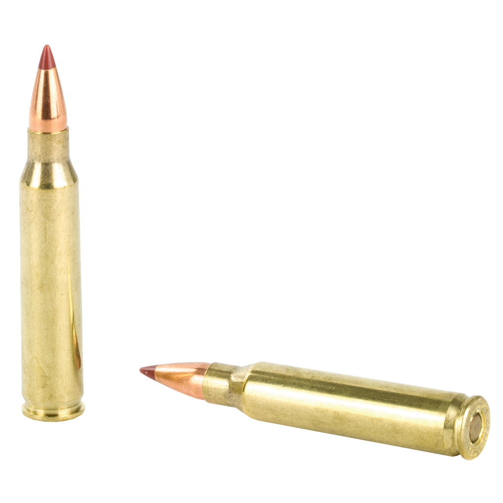 Hornady Superformance Varmint .223 Remington 35 Grain NTX Ammunition - 20 Rounds