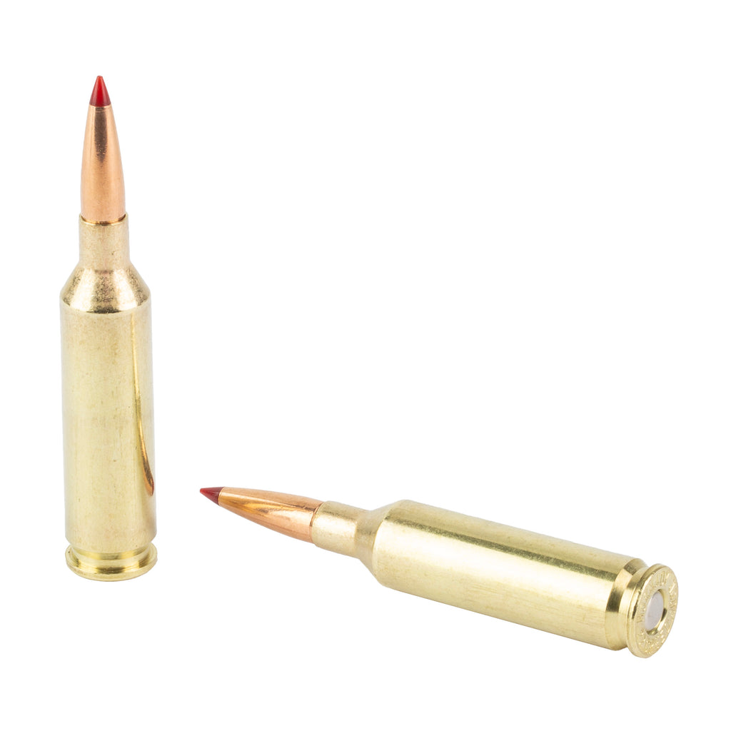 Hornady Superformance CX 22 Creedmoor 65 Grain Ammunition - 20 Rounds per Box