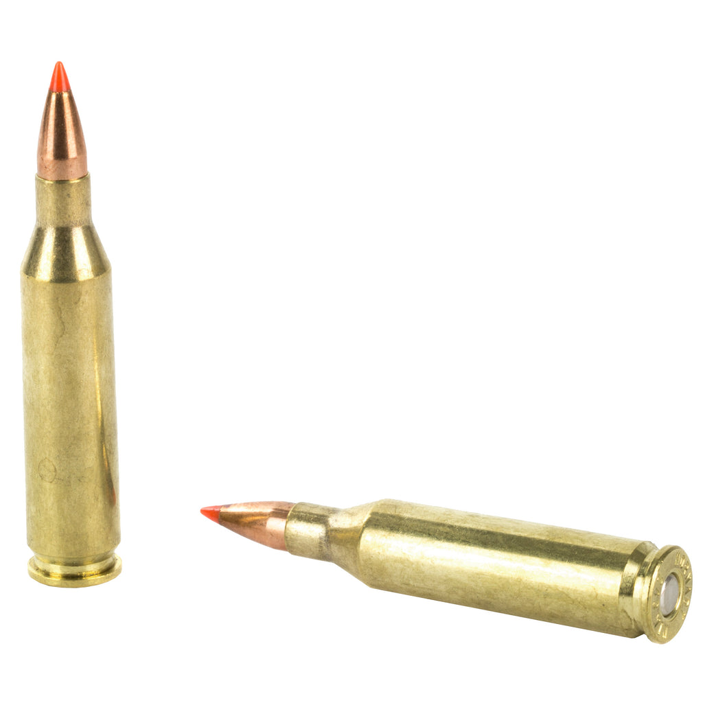 Hornady Superformance Varmint 243 Winchester 58 Grain V-Max Ammunition (20 Rounds per Box)