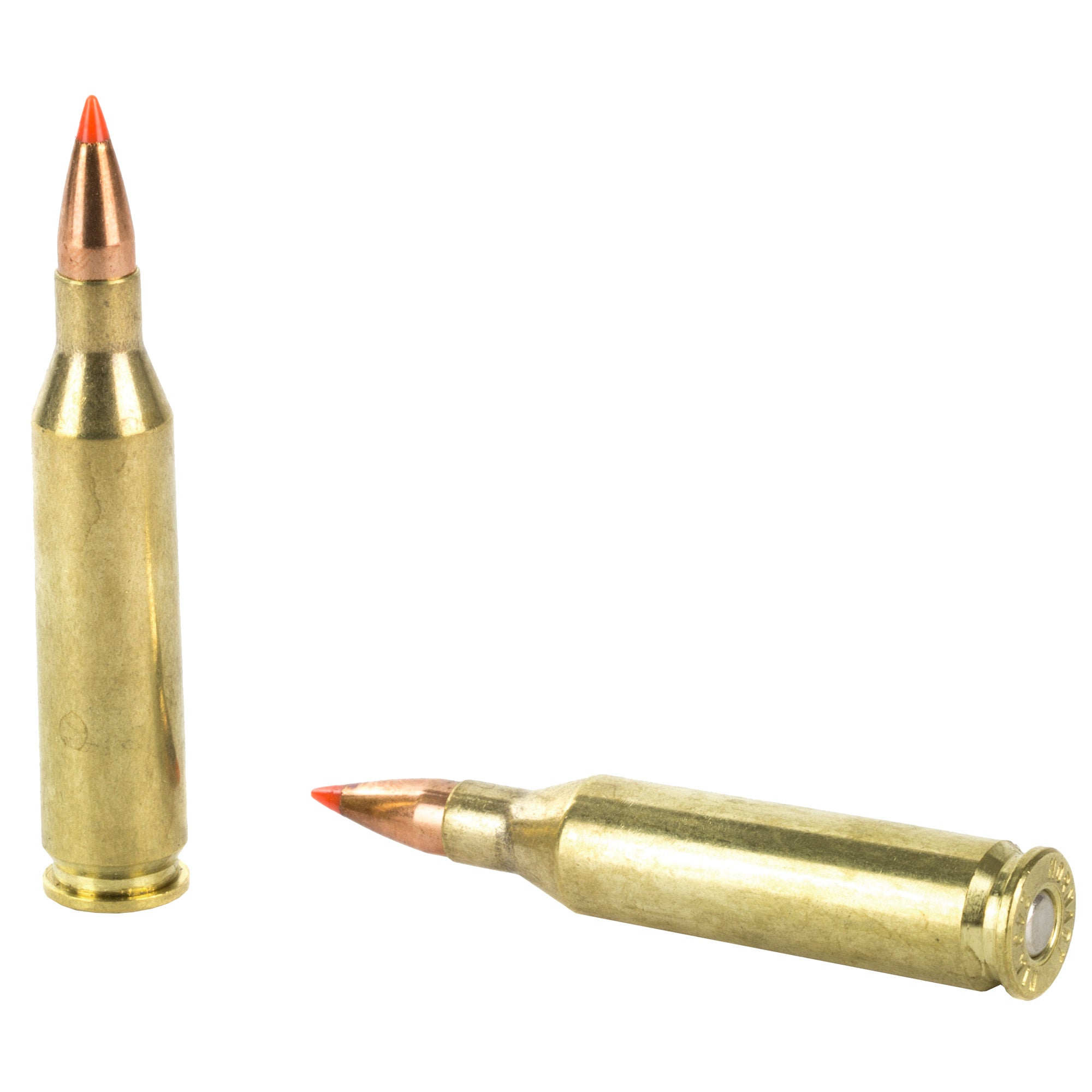 Hornady Superformance Varmint 243 Winchester 58 Grain V-Max Ammunition (20 Rounds per Box)