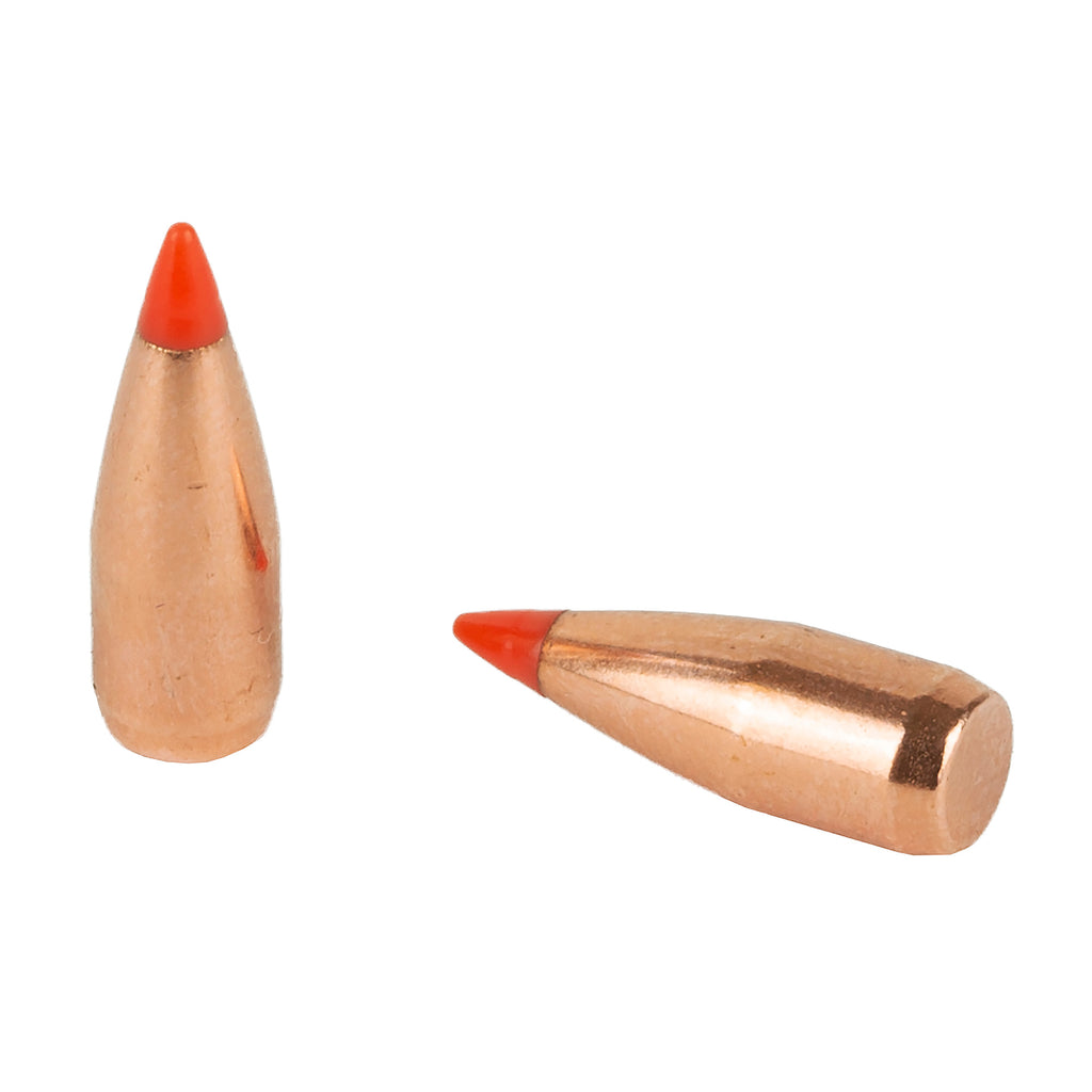 Hornady V-Max .22 Caliber 40 Grain Polymer Tip Ammunition, 100 Rounds