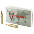 Nosler Varmageddon 308 Winchester 110-Grain Flat Base Tipped Ammunition (20 Rounds per Box)