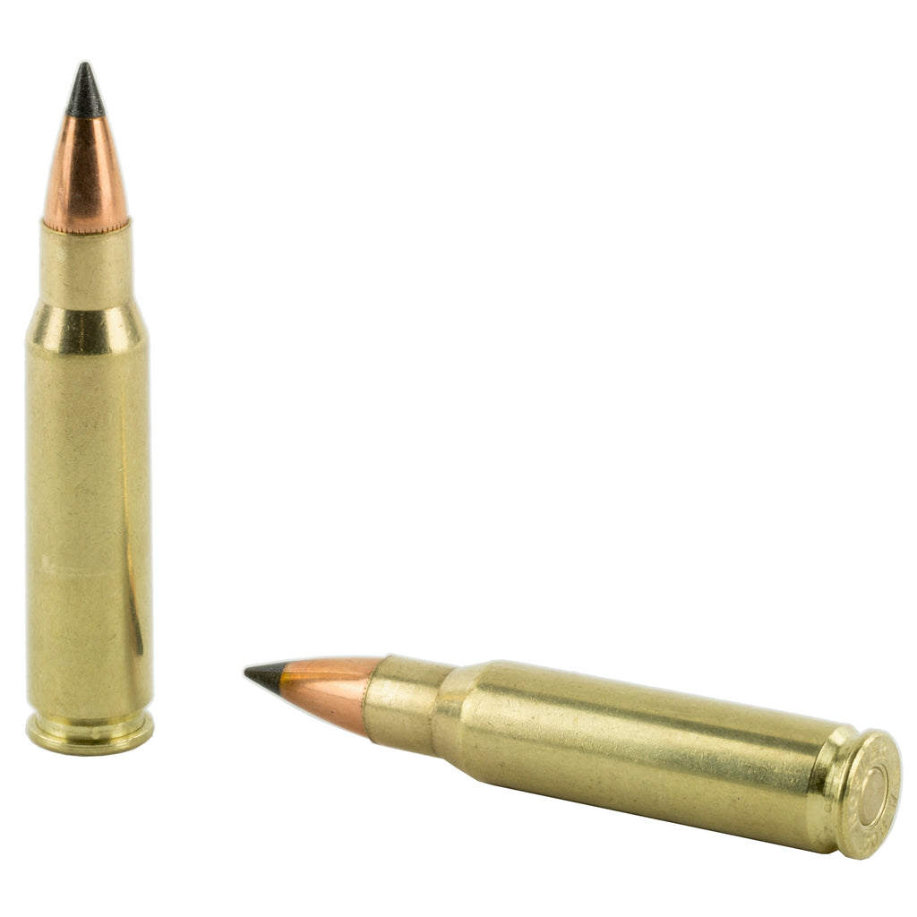 Nosler Varmageddon 308 Winchester 110-Grain Flat Base Tipped Ammunition (20 Rounds per Box)