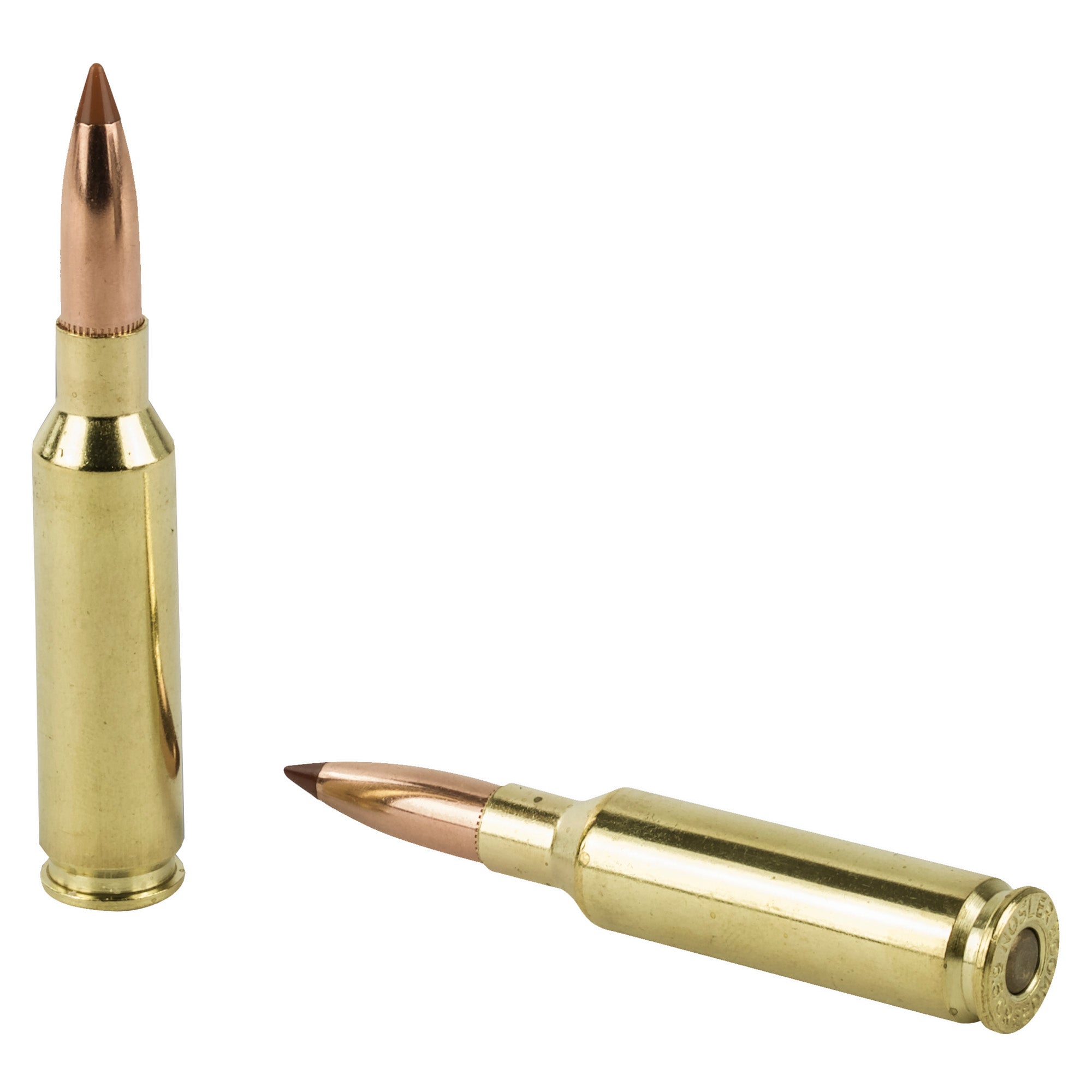 Nosler 6.5mm Creedmoor Ballistic Tip Hunting Bullets – 120 Grain, Box of 20, Case of 200