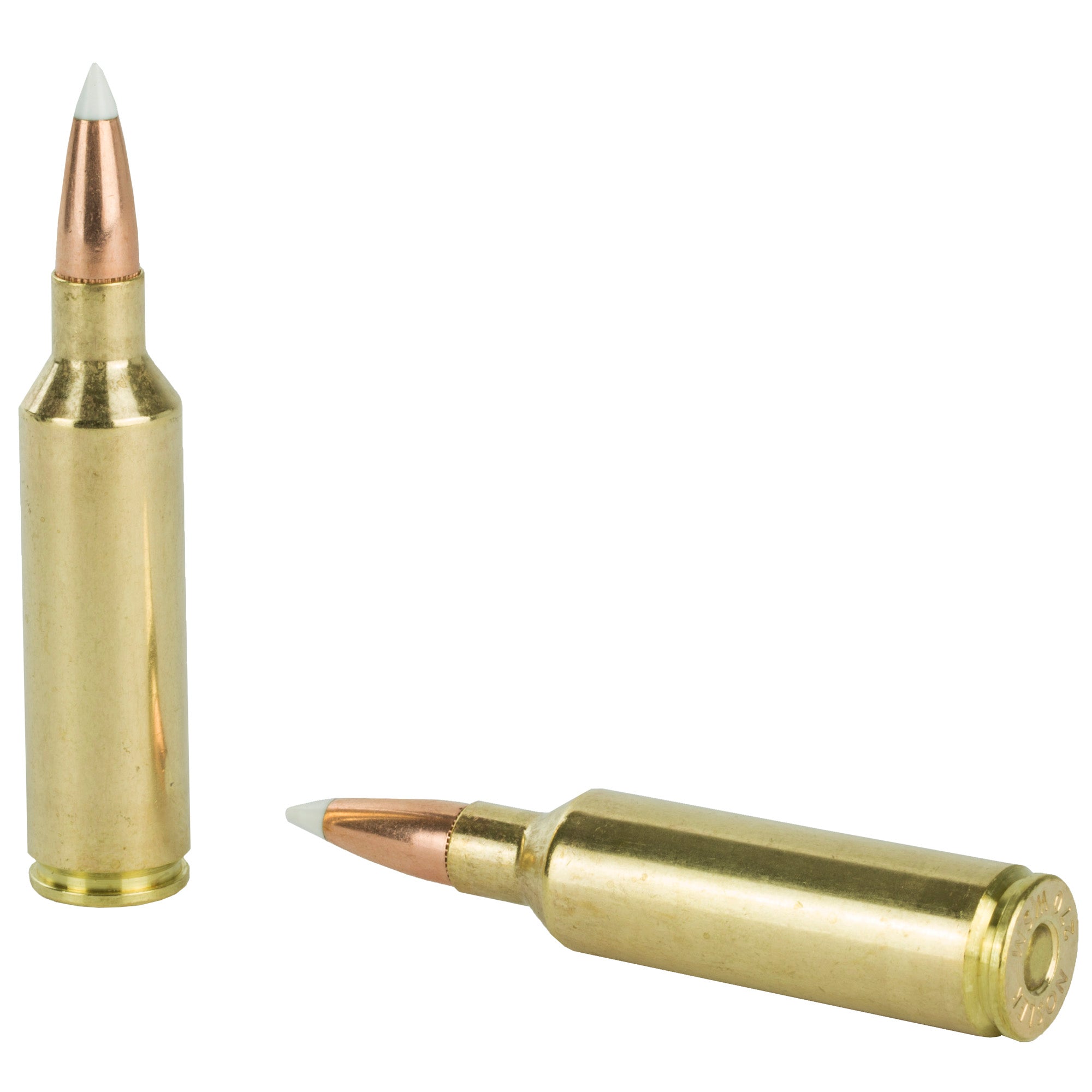 Nosler Trophy Grade 270 Winchester Short Magnum 140-Grain AccuBond Ammo - 20 Rounds