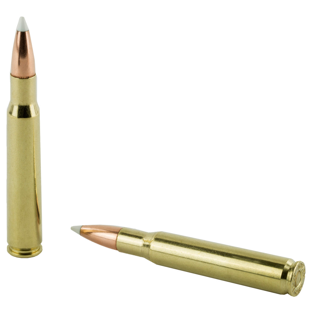 Nosler Trophy Grade 30-06 Springfield 165 Grain AccuBond Ammunition (20 Rounds per Box)