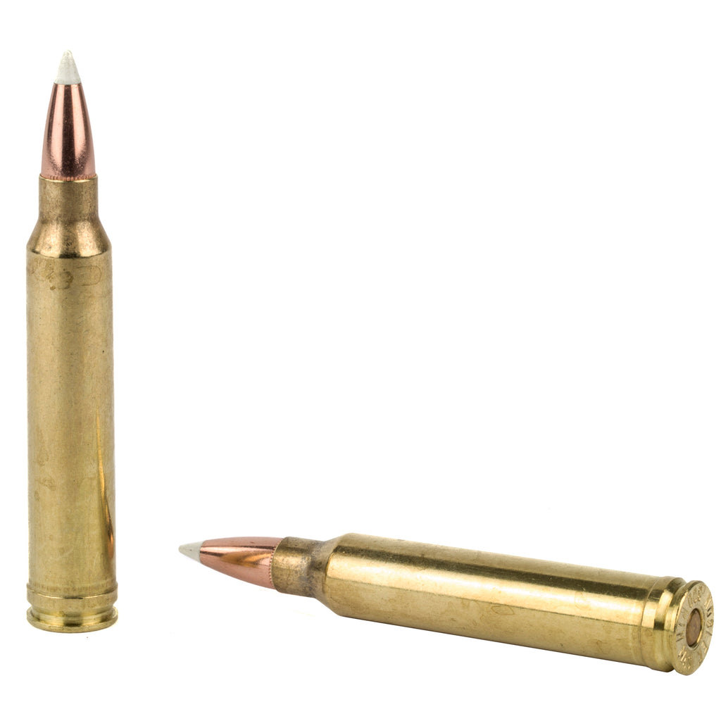 Nosler Trophy Grade 300 Winchester Magnum 180-Grain AccuBond Ammunition - Box of 20