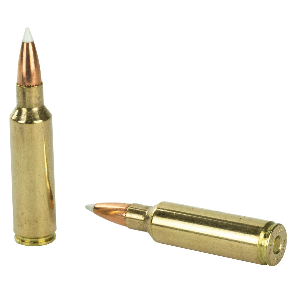 Nosler Trophy Grade 300 Winchester Short Magnum 180 Grain AccuBond Ammunition - 20 Rounds