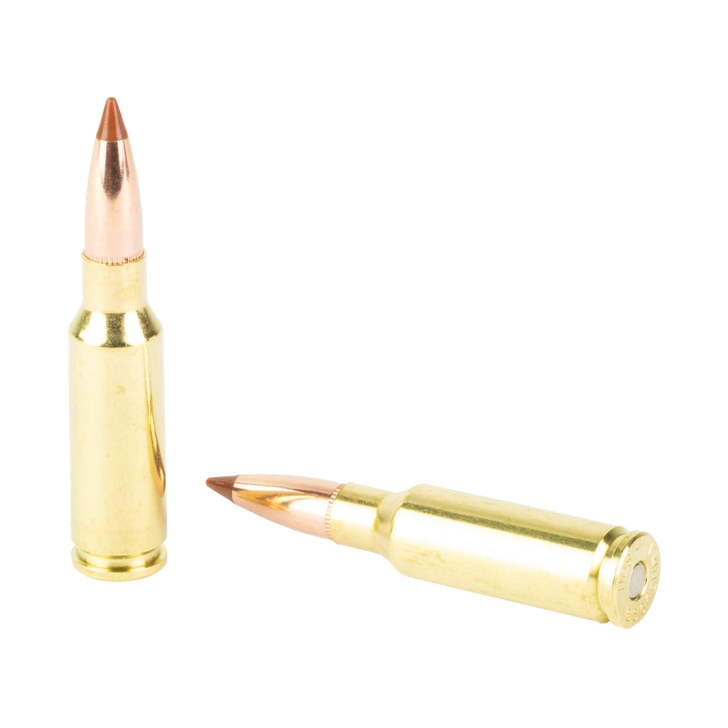 Nosler 6.5 Grendel Ballistic Tip Ammunition – 120 Grain, 20 Rounds Per Box