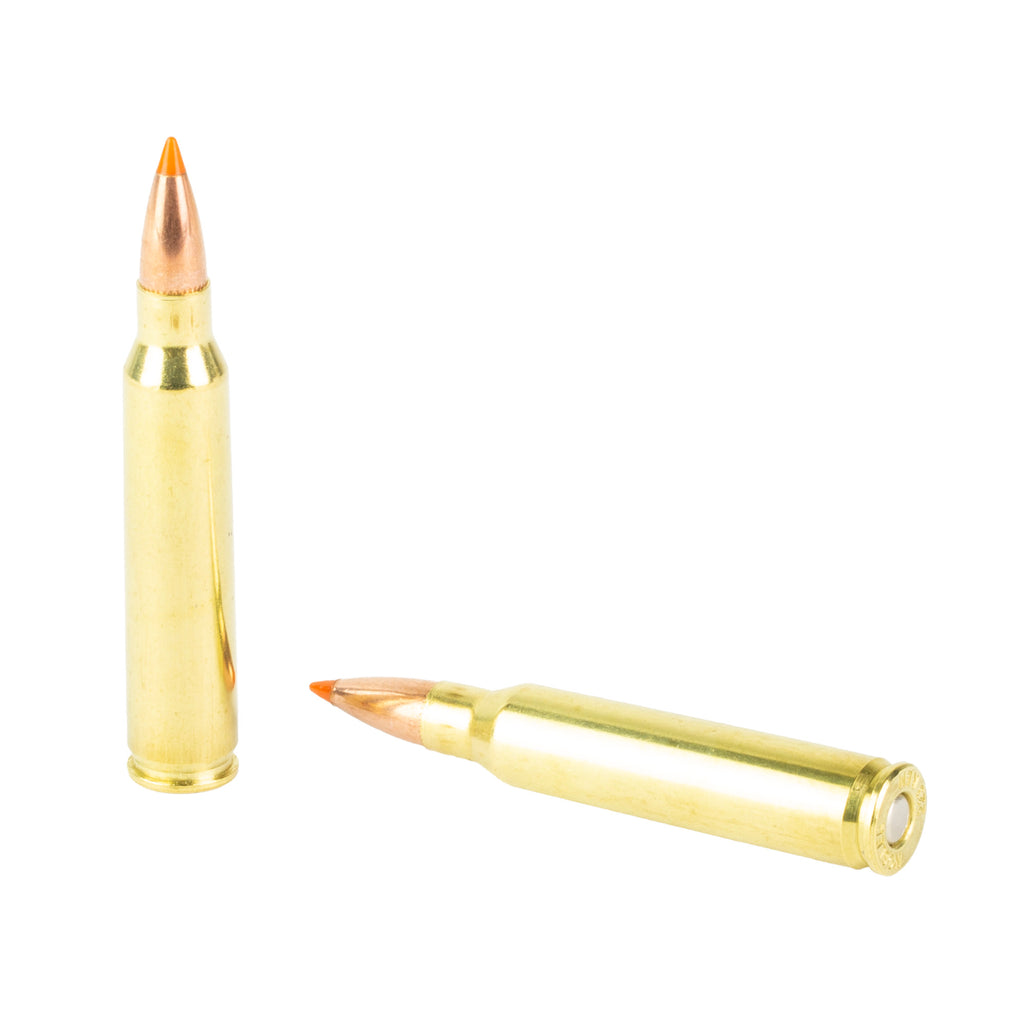 Nosler 223 Remington 55 Grain Ballistic Tip Ammunition - 20 Rounds per Box, 200 per Case
