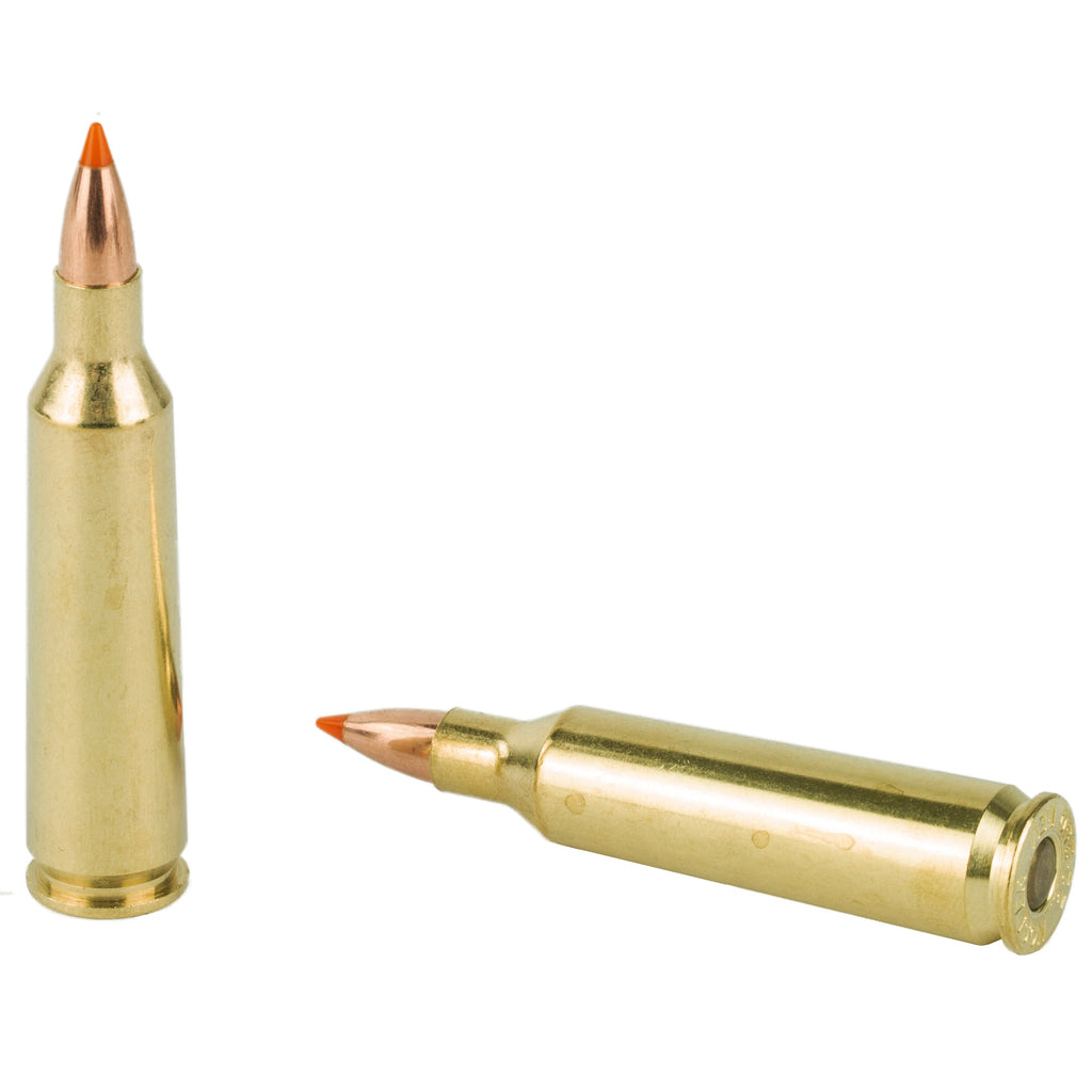 Nosler 22-250 Remington Ballistic Tip Hunting Bullets – 55 Grain, Box of 20