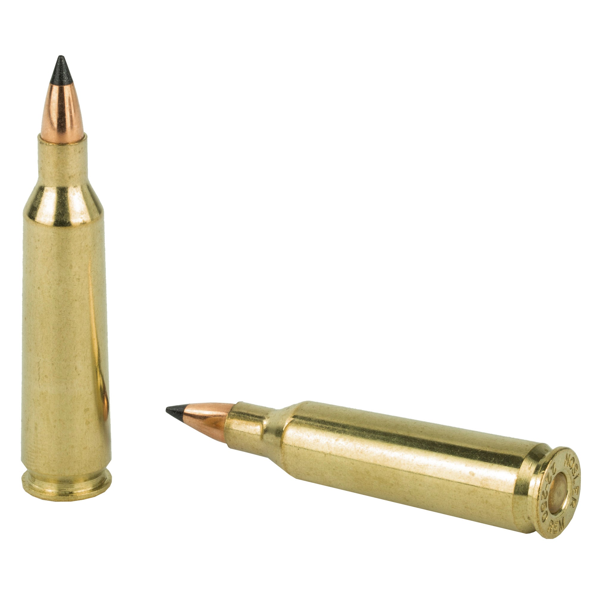 Nosler Varmageddon .22-250 Remington 55 Grain Flat Base Tipped Bullets (20/200)