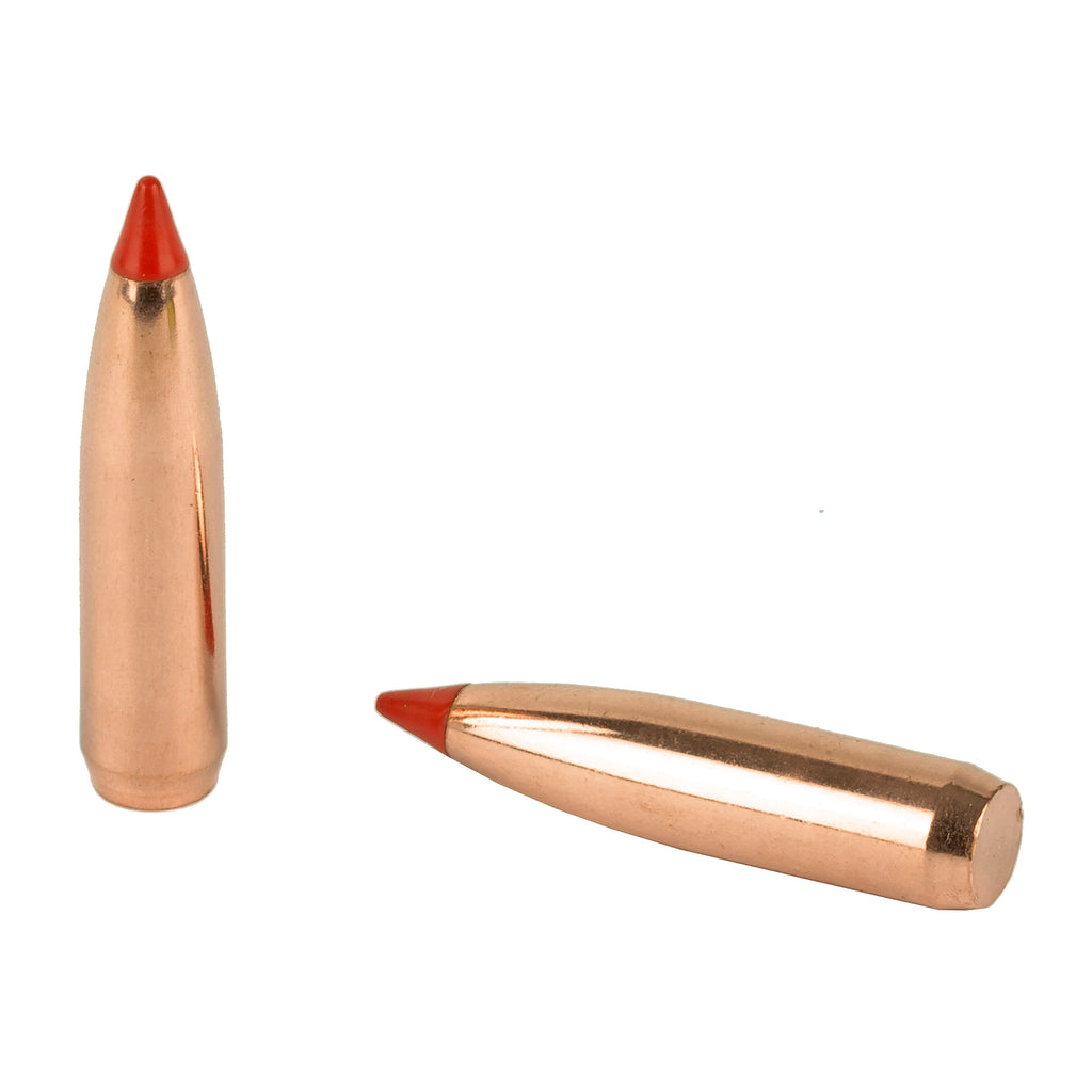 Nosler 7mm 150 Grain Ballistic Tip Bullet – Precision Hunting Ammunition