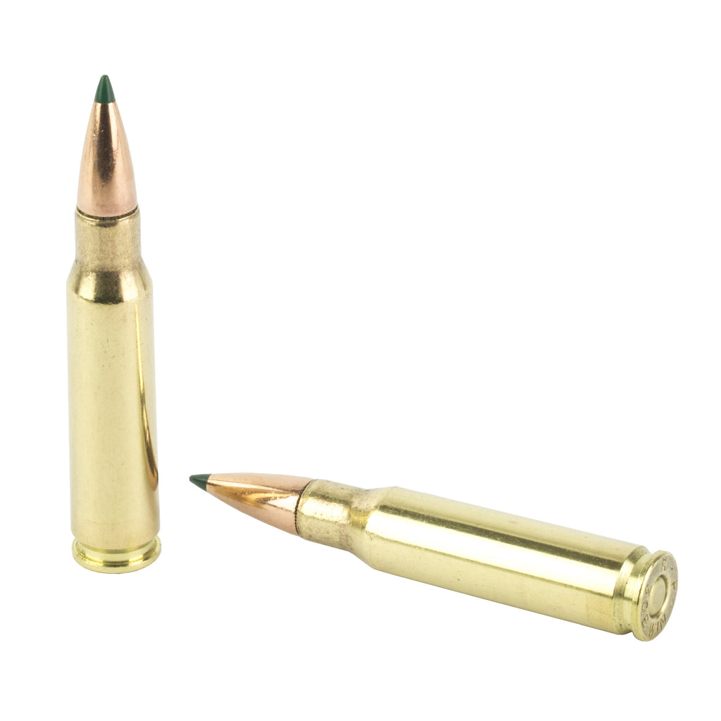 Remington Core-Lokt Tipped .308 Winchester 165-Grain Ammunition (20 Rounds per Box)