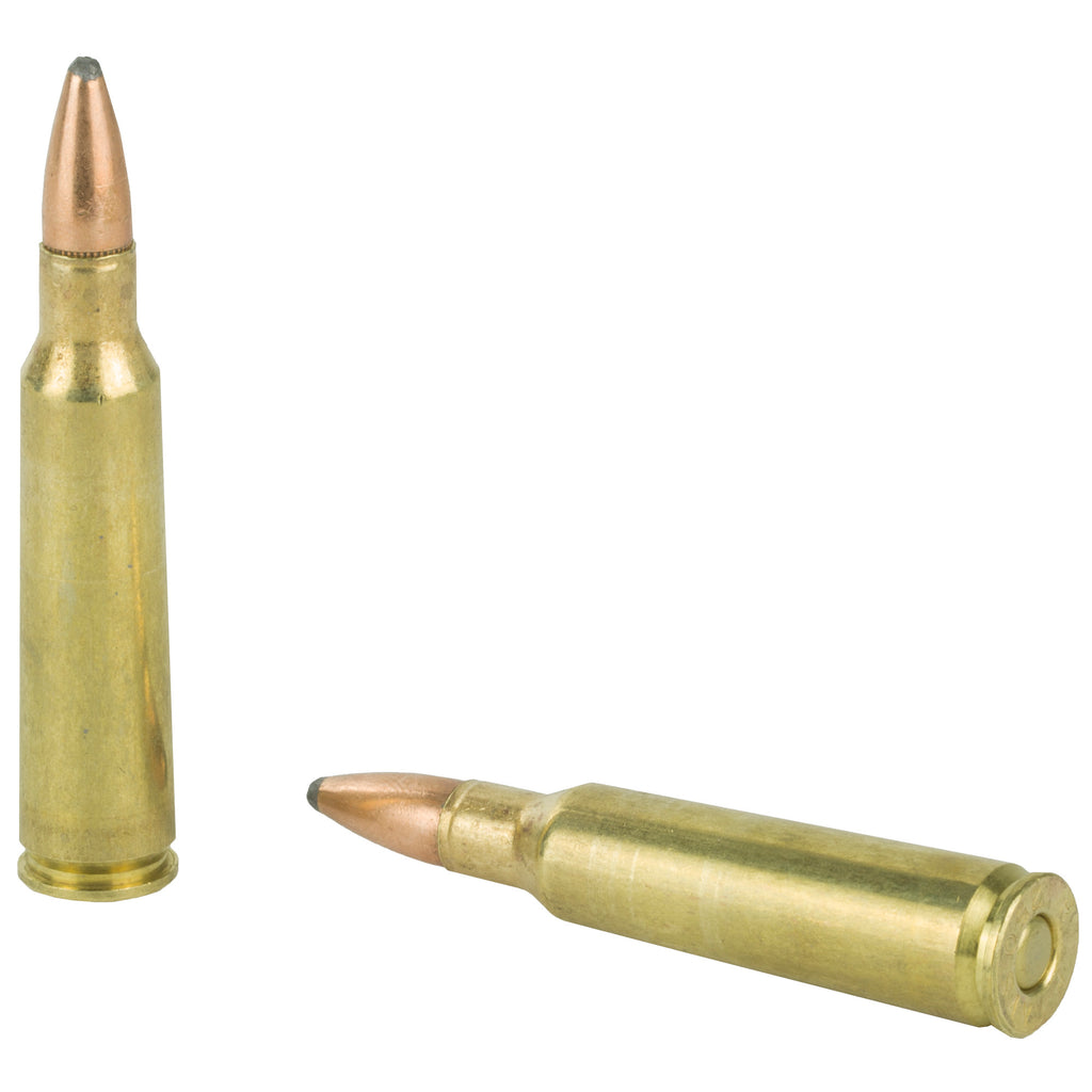Remington Core-Lokt 250 Savage 100-Grain Pointed Soft Point Ammunition (20 Rounds per Box)