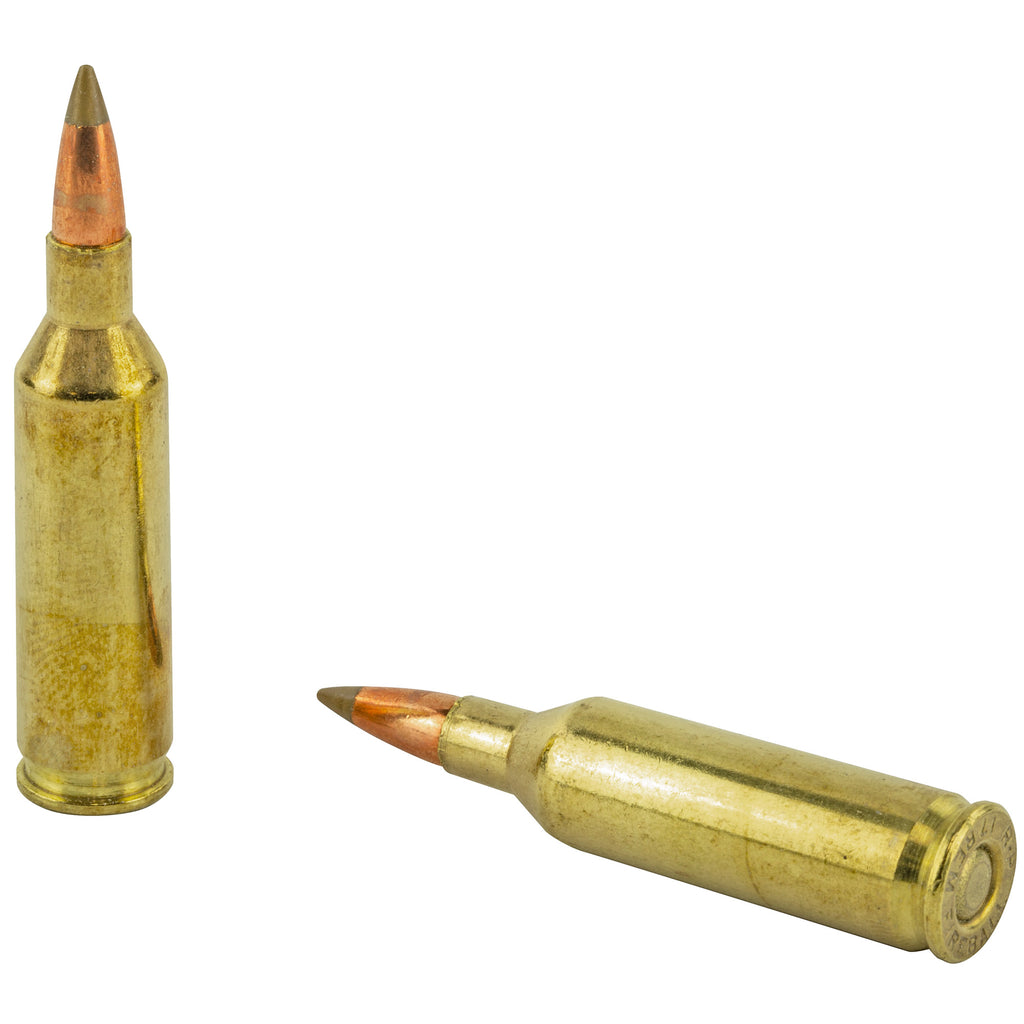 Remington Premier AccuTip .17 Remington FireBall 20 Grain Varmint Ammunition (20 Rounds per Box)