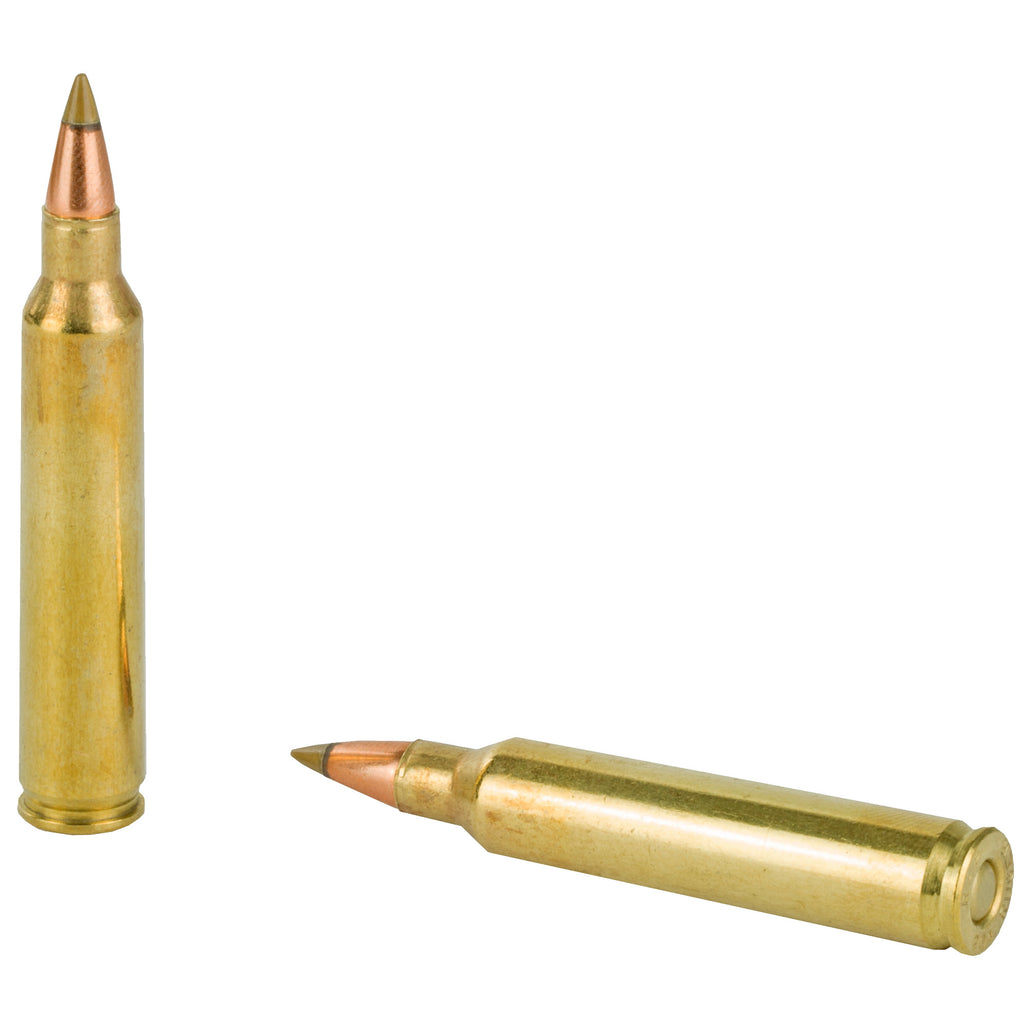 Remington Premier AccuTip-V 204 Ruger 32 Grain Varmint Bullet - Pack of 20