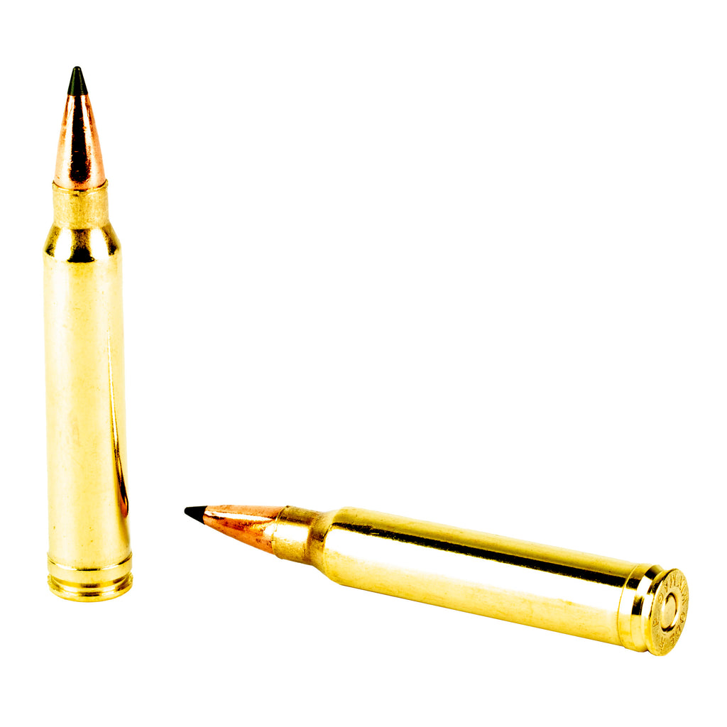Remington Speer Impact 300 Winchester Magnum 190-Grain Polymer Tip Ammunition (20 Rounds per Box)